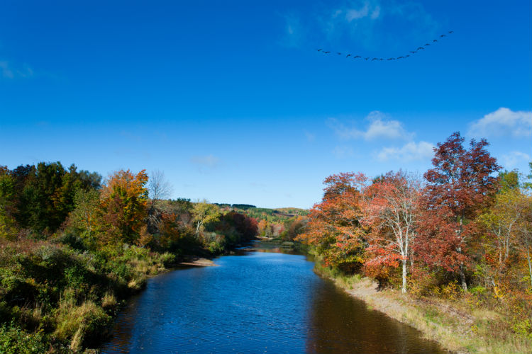 Pictou East River fall landscape Nova Scotia