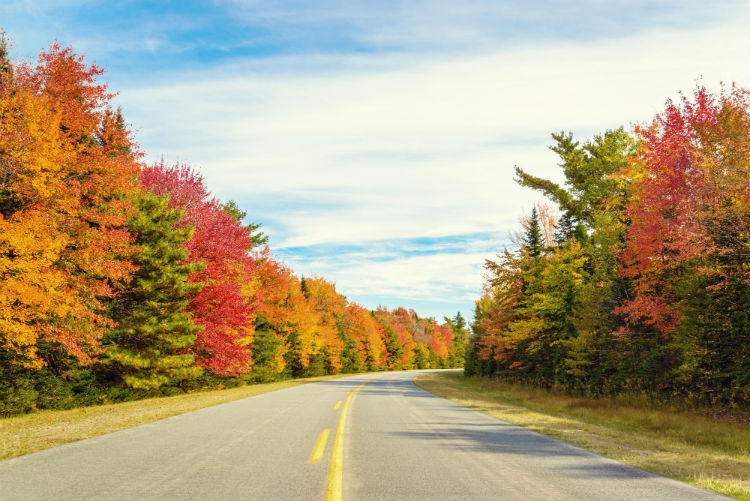 Road to Keji in fall