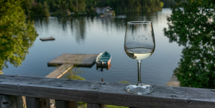 A whale-watching guide to Canada