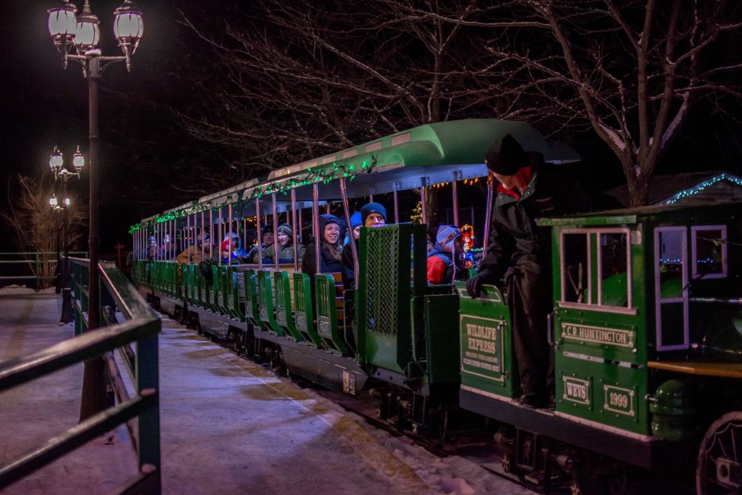 A green train with gold lettering in the dark. There is snow on the ground. 